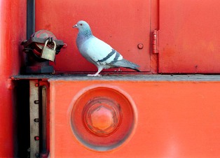 Fantom slobode u Galeriji Marin!