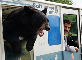 NAJBOLJI FILMOVI 2006. - ŽUTI TITL